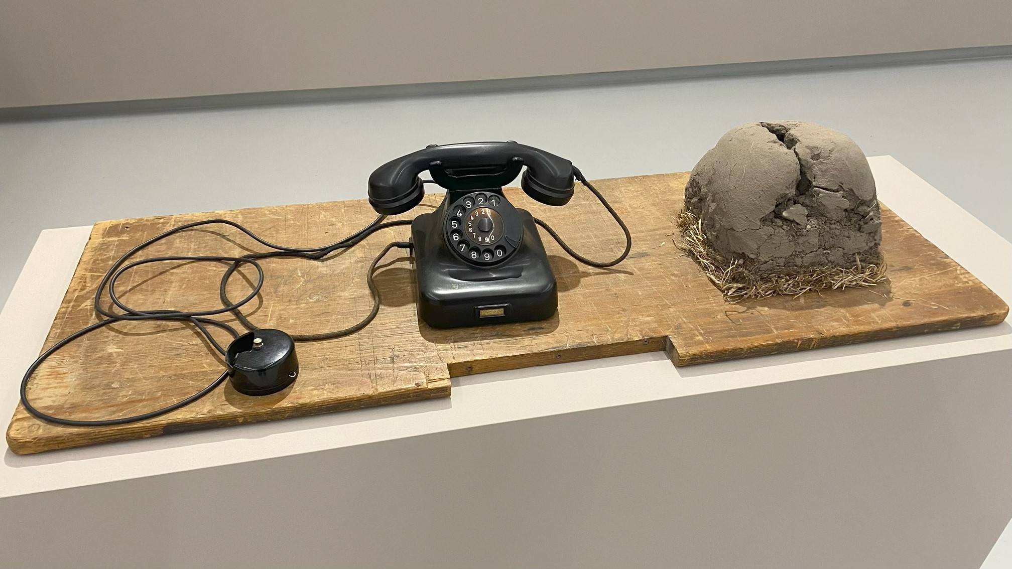beuys 1